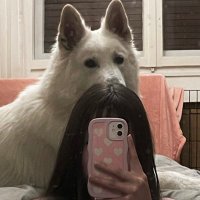 Rena (@nerated) 's Twitter Profile