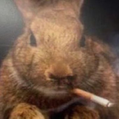 smaran_'s profile picture. i do my own stunts