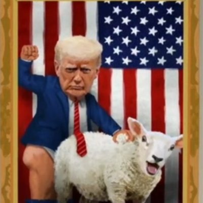 colerichards692's profile picture. 