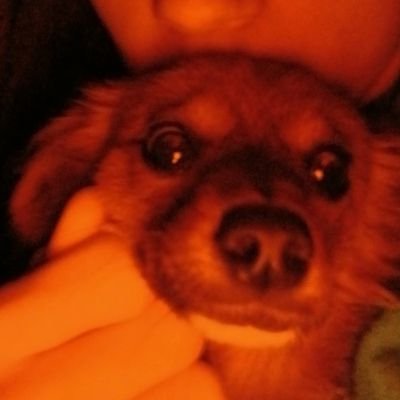 deadlightbulbbb's profile picture. 