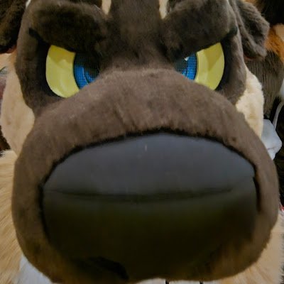 aconite_ad's profile picture. Good dog in the streets
Bad dog in the sheets

🔞 NSFW 🔞

DM if moots, random folk don't get in sry

Murrsuiter account for the Doggy side of @aconitecarcajou