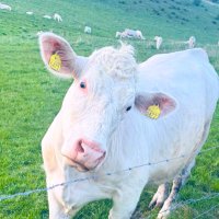 Green Minded🌿 (@greenminded555) 's Twitter Profile Photo Green Minded🌿 (@greenminded555) 's Twitter Profile Photo
