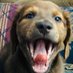 Zaneta Edwards (@kickazzgranny52) Twitter profile photo Zaneta Edwards (@kickazzgranny52) Twitter profile photo