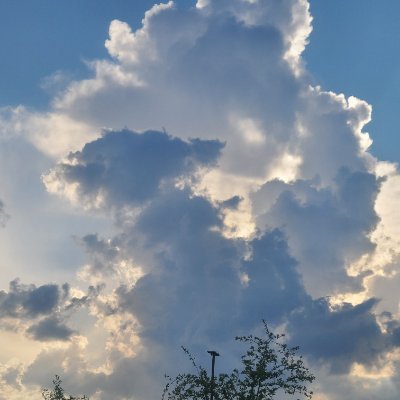 LongOnOblivion's profile picture. Prove me wrong