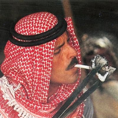 AliShaalan79971's profile picture. الأردن اولاً. سوف ندمر كل من يمس في مملكتنا الهاشمية. اياً كان..