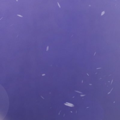 海潮频率さんのプロフィール画像