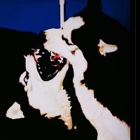 𖣘𝙼𝙰𝚁𝙲𝙴𝙻𖣘 (@satanaddition) 's Twitter Profile