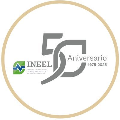 INEEL México Profile