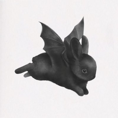DJ based in osaka/tokyo main : 黒田依直 @umbermoon_ little lethe tail of black goat
