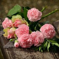 SaraCB (@sara_cbcn) 's Twitter Profile Photo