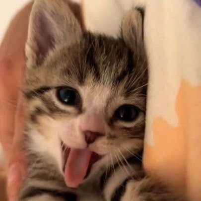 eli_shane's profile picture. Agnostic