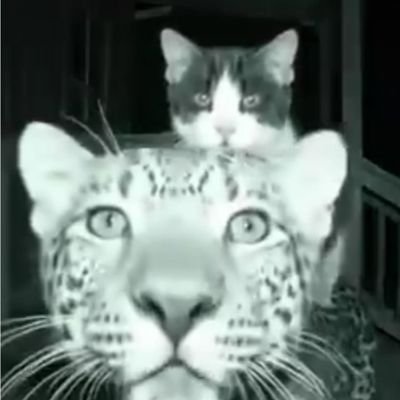 EduuuxxSt's profile picture. Pensando em você