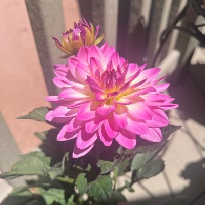 MariaRMaskell's profile picture. Retired