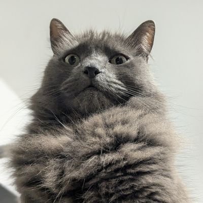 BrutallyAverage's profile picture. Yes, the planet got destroyed. But for a beautiful moment in time we created a lot of value for shareholders. WBA and FPL.