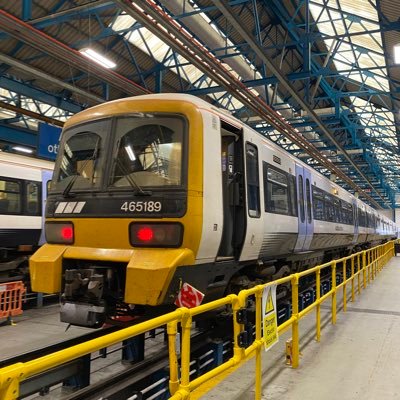 finnlay565's profile picture. 