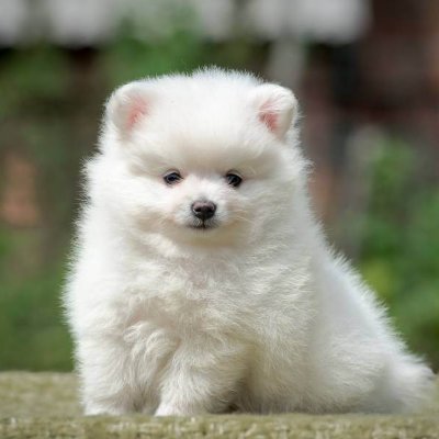 uItrarromantico's profile picture. nada mais e poeta