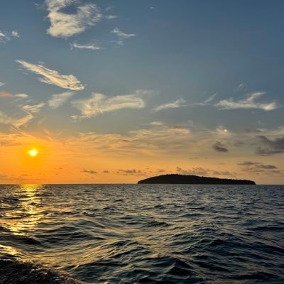 Nene_June_'s profile picture. 