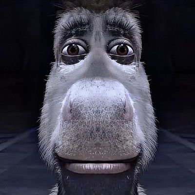 sourbeee's profile picture. dafuq?