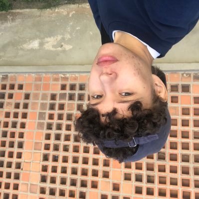 mlactagil's profile picture. ai não