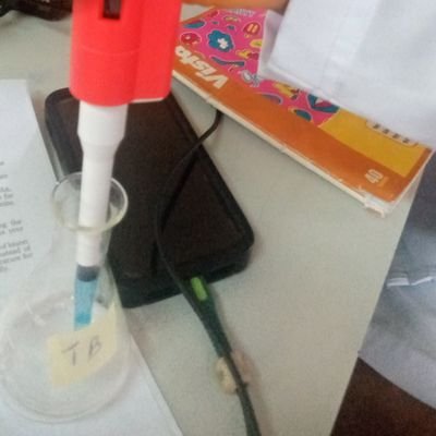 SctChimnomso's profile picture. 