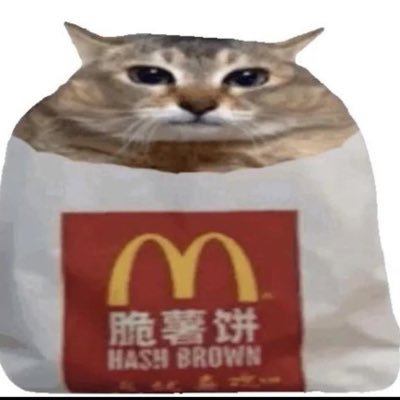 those who turn themselves into a hashbrown (wow what a sense of humor)
19 M