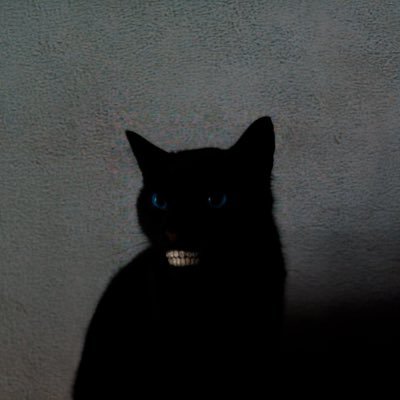 thevlxn's profile picture. Certified Web 3 Gambler