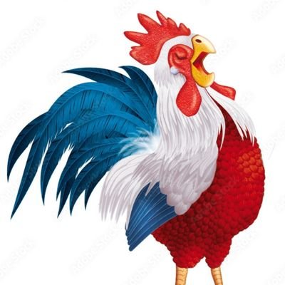 Sylvain_Raccoon's profile picture. Artisan, commerçant. 
Ni oubli ni pardon.
