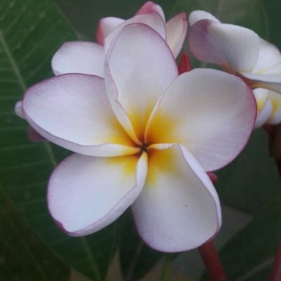 alawrkyd4088's profile picture. 