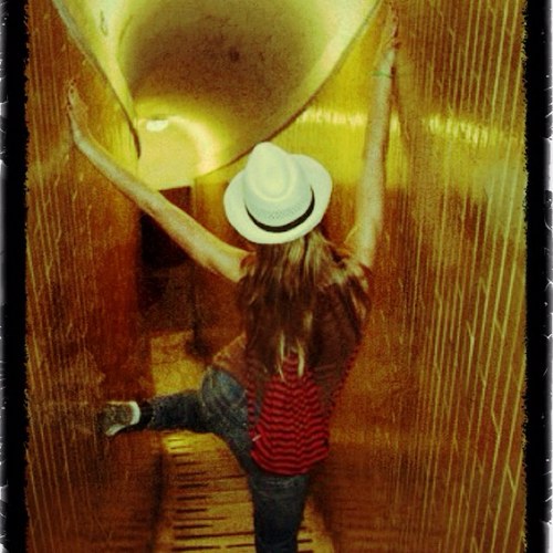 Parrot_Red's profile picture. 