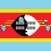 Eswatini (@diginyobutt) 's Twitter Profile