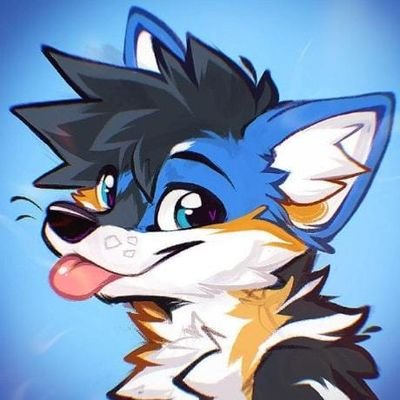 Nonbinary fluffball ✨ they/them | Fursona = me turned inside out 🐾