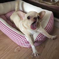 mariana (@marigruber_) 's Twitter Profile Photo mariana (@marigruber_) 's Twitter Profile Photo