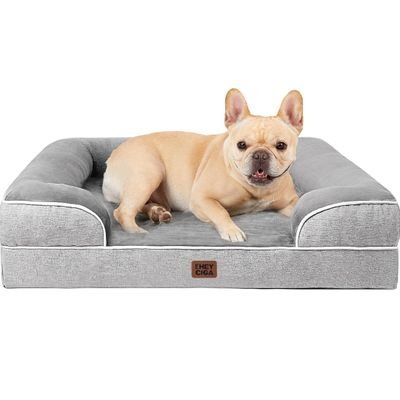 petloveshoppin's profile picture. 🐶🐱 Amiga oficial de perros, gatos y todo peludito que se cruce | Defensor/a de causas con patas y cola 🐾 | #AnimalLover