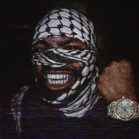 Taliban (@wethetaliban) 's Twitter Profile