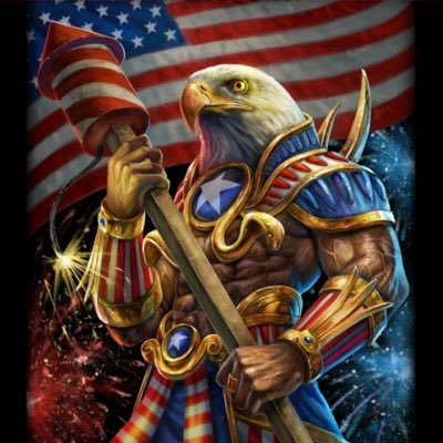 America First 🇺🇸 | Crypto | Gym | MMA - Finding & Following like minded folks