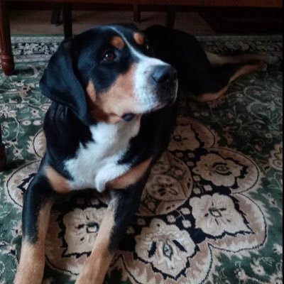 GabrielApinski's profile picture. 