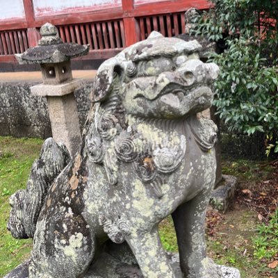 レイ・オカモト (@nexrei) / Posts / X