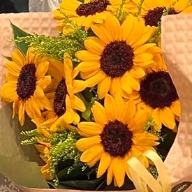 GWMl6H46zs14459's profile picture. 