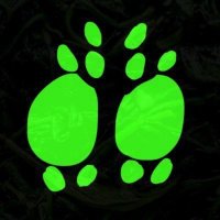 Biomoss (@evilmossthing) 's Twitter Profile