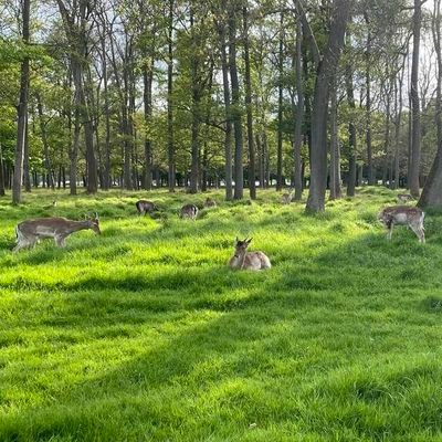 動物、山、そして自由を感じさせてくれるものすべてが大好きです。皆さんにお会いできて嬉しいです!😊無言フォローすみません