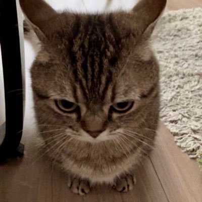 YoOMonDraGon's profile picture. 