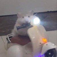 초리 (@cholicoool) 's Twitter Profile