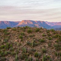 Arizona Eagle Mining Corp. (@azeaglemining) 's Twitter Profile