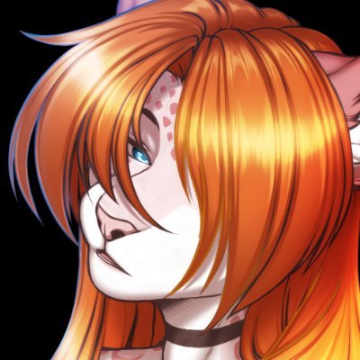 Acceloさんのプロフィール画像