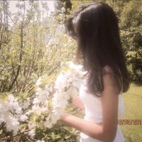 Hoa Xu~ (@hhuahua478) 's Twitter Profile
