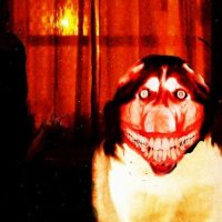 Tycho (@tycho_mediocre) 's Twitter Profile Photo Tycho (@tycho_mediocre) 's Twitter Profile Photo