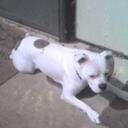 Carrie Stepp - @carrie_stepp - Twitter