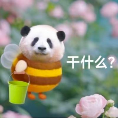 W7KCznXVql9696's profile picture. 