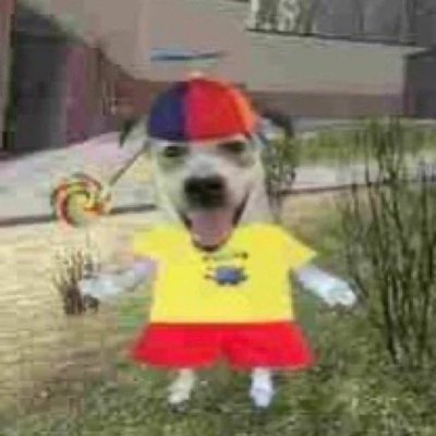 quaddnoodle's profile picture. don't follow me. i post nothing.