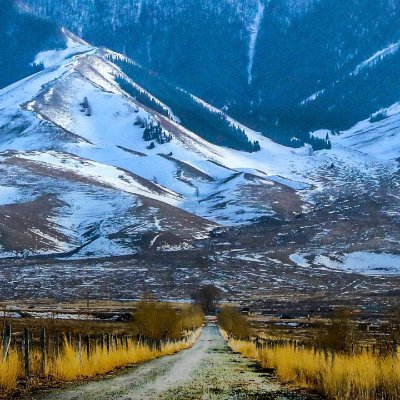 wassereau1's profile picture. Data, Tools and Solutions